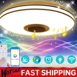 Modern Ceiling Lamp Dimmable